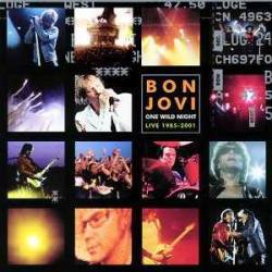 Bon Jovi : One Wild Night